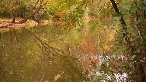 Nature at its best Stock Footage 143617118