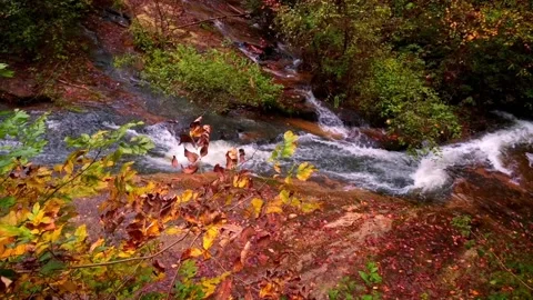 Nature at its best Stock Footage 143617170
