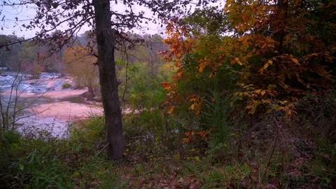 Nature at its best Stock Footage 143617200