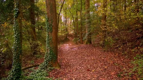 Nature at its best Stock Footage 143621532