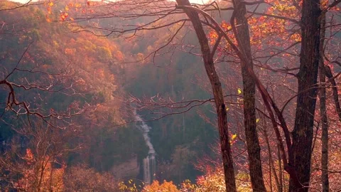 Nature at its best Stock Footage 143621548