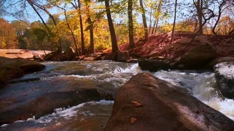 Nature at its best Stock Footage 143621560