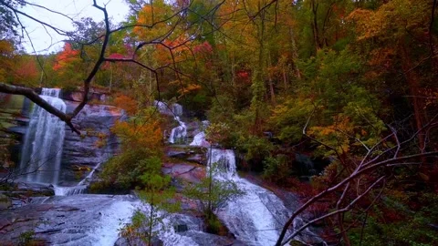 Nature at its best Stock Footage 143621565