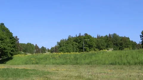 Nature in Järfälla Stock Footage 247738509