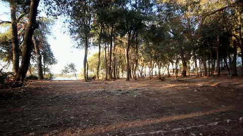 Nature jogging Stock Footage 12101869