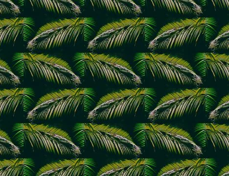 Nature of the jungle Stock Illustration