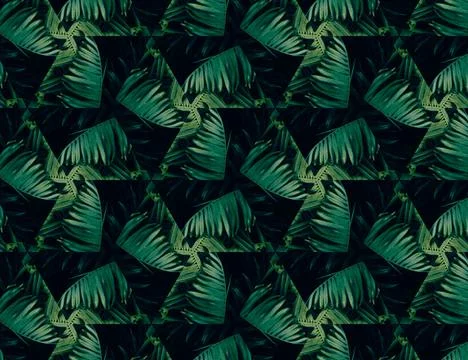 Nature of the jungle Stock Illustration