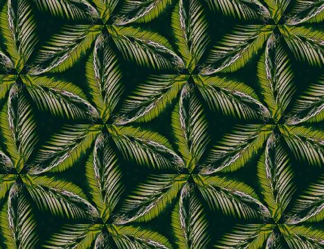 Nature of the jungle Stock Illustration