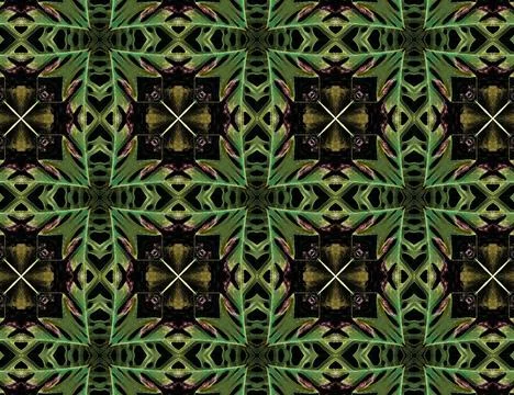 Nature of the jungle Stock Illustration