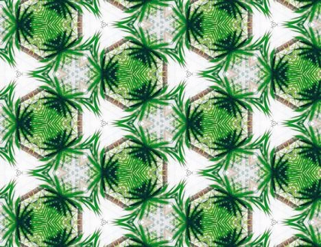 Nature of the jungle Stock Illustration