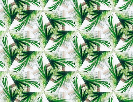 Nature of the jungle Stock Illustration