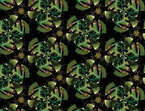 Nature of the jungle Stock Illustration
