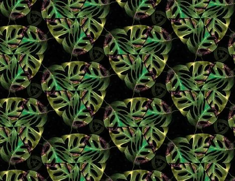 Nature of the jungle Stock Illustration