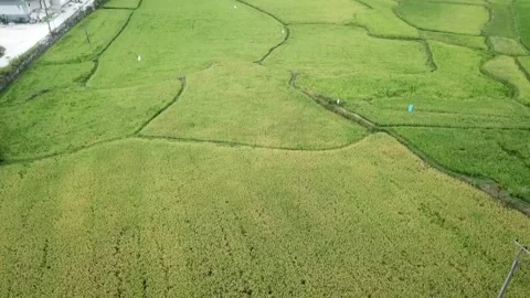 Nature Karst (5) Video stock 325834482