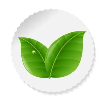 Nature Label With Leaves Stock Illustration
