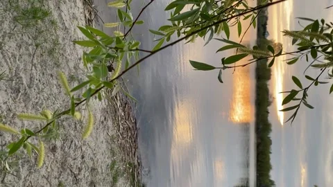 NATURE BY THE LAKE 스톡 동영상 231176461