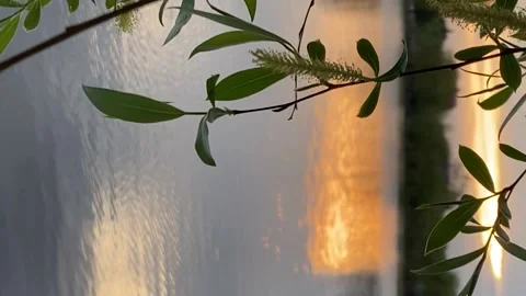 NATURE BY THE LAKE 스톡 동영상 231176462