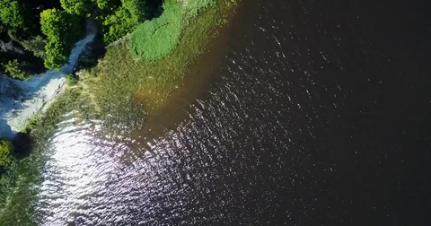 Nature. Lake. Forest Stock Footage 76376414