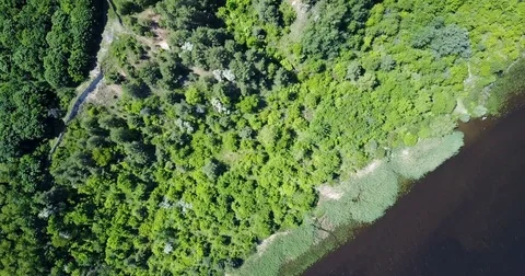 Nature. Lake. Forest Stock Footage 76376559