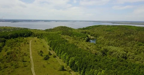 Nature. Lake. Forest Stock Footage 76806983