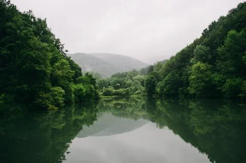 Nature on the lake in gloomy summer day Stock Photos