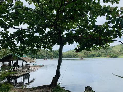 Nature lake view Stock Photos
