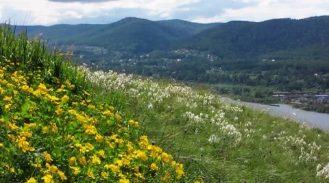 Nature - landscape 16 Stock Footage 7135992