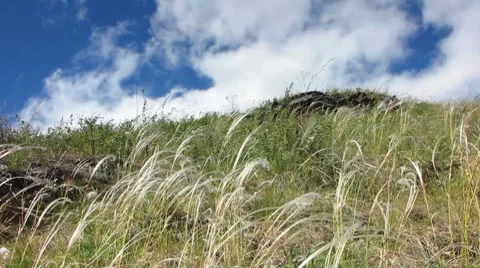 Nature - landscape 18 Stock Footage 7135994