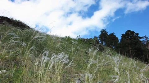 Nature - landscape 19 Stock Footage 7135993