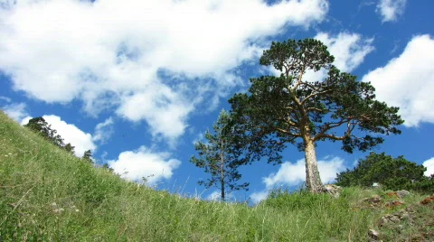Nature - landscape 3 Stock Footage 769770