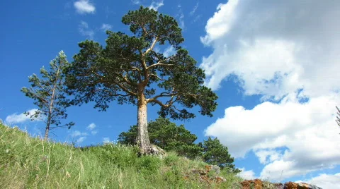 Nature - landscape 4 Stock Footage 769850