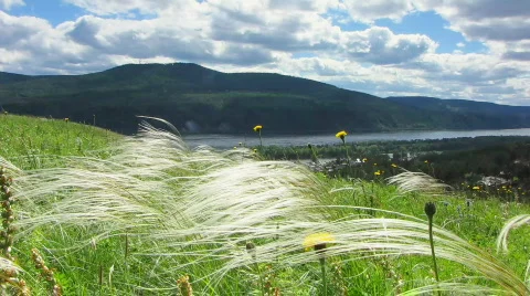 Nature - landscape 5 Stock Footage 769821