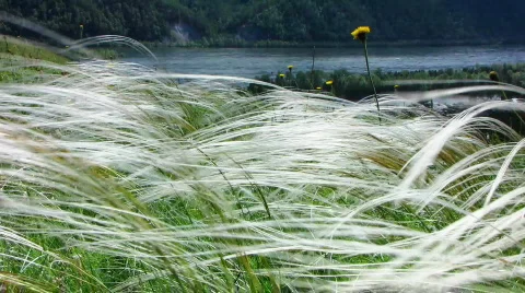 Nature - landscape 6 Stock Footage 769943