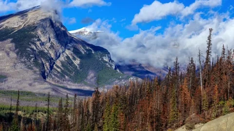 Nature Landscape in Canada Stock-Footage 240363137