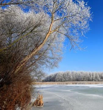 Nature Landscape in Extremely Cold Winter Weather Stock Photos