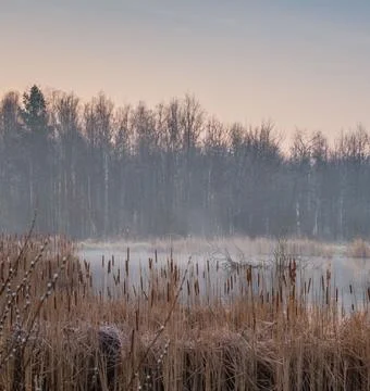 Nature Landscape in Extremely Cold Winter Weather Stock Photos