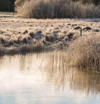 Nature Landscape in Extremely Cold Winter Weather Stock Photos