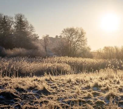 Nature Landscape in Extremely Cold Winter Weather Stock Photos