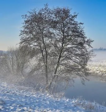 Nature Landscape in Extremely Cold Winter Weather Stock Photos