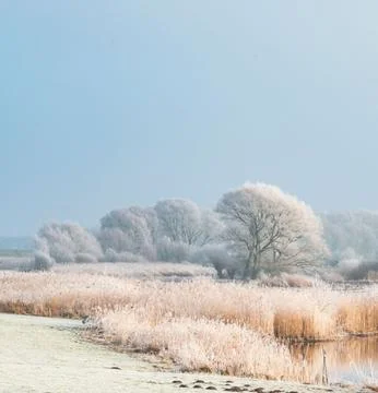 Nature Landscape in Extremely Cold Winter Weather Stock Photos