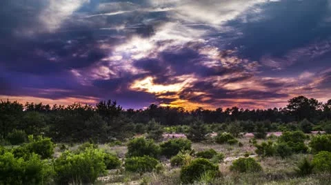 Nature Landscape Vidéo 11629033