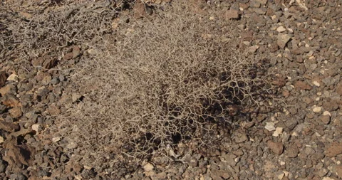 Nature landscape Stock Footage 165246406