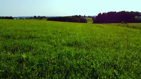 Nature landscape 動画素材 198902648