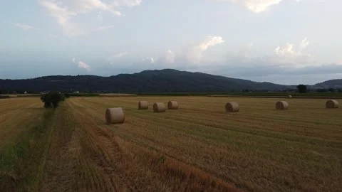 Nature landscape 動画素材 200210112