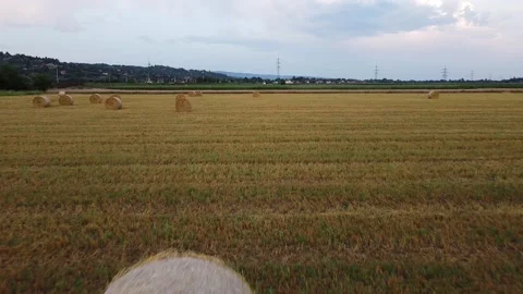 Nature landscape 動画素材 200210198