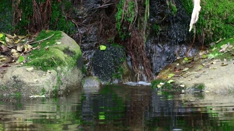 Nature landscape Stock Footage 205932344