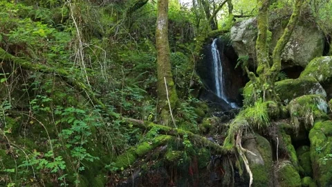 Nature landscape Stock Footage 205932345