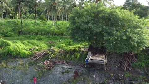 Nature Landscape Stock Footage 243251281