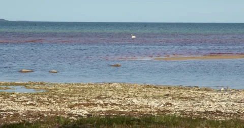 Nature landscape Stock Footage 243514742