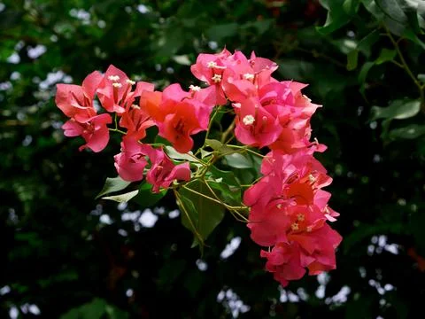 Nature landscape image 스톡 사진